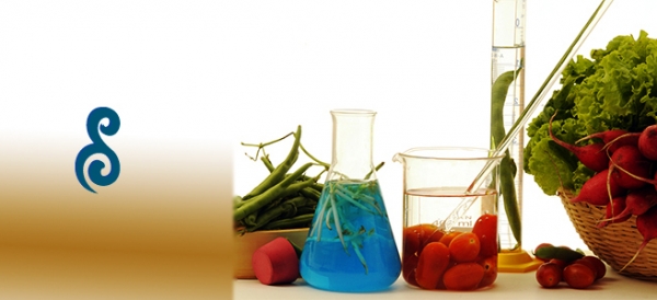 ALIMENTOS LISTOS PARA USAR, MEJOR PREP&Aacute;RELOS EN CASA.